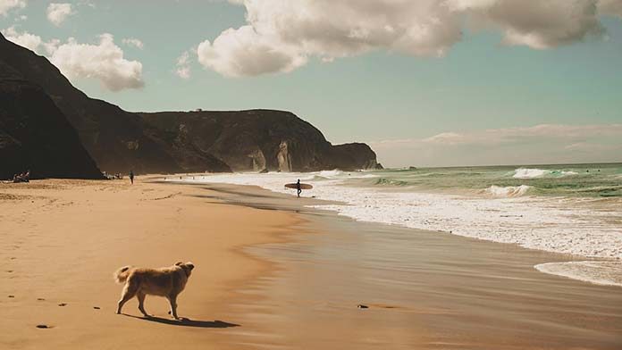 Czarter Jachtów w Grecji Czarter Jachtów w Grecji