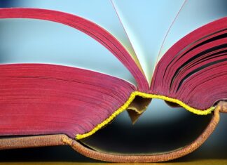 Najlepsze książki kryminalne na lato – co wybrać? Najlepsze książki kryminalne na lato