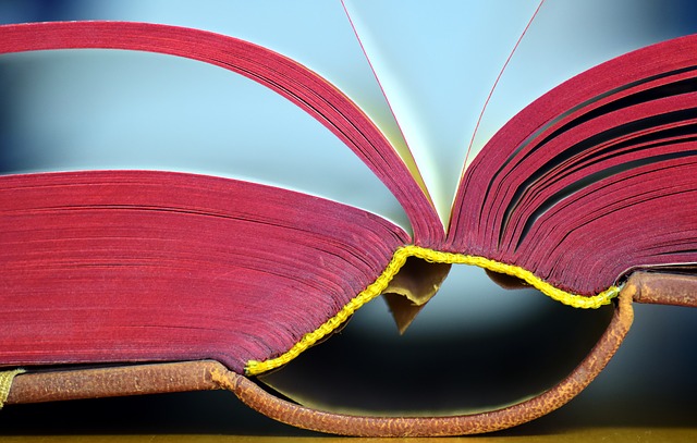 Najlepsze książki kryminalne na lato – co wybrać? Najlepsze książki kryminalne na lato