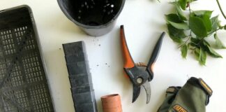 10 niezbędnych narzędzi ogrodniczych dla początkujących ogrodników