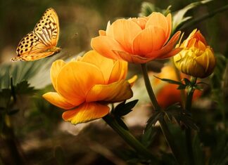 Ile kosztuje mycie silnika w samochodzie?