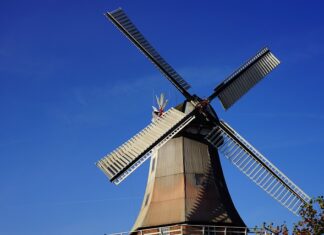 Jak zmielić karob? Jak zmielić karob?