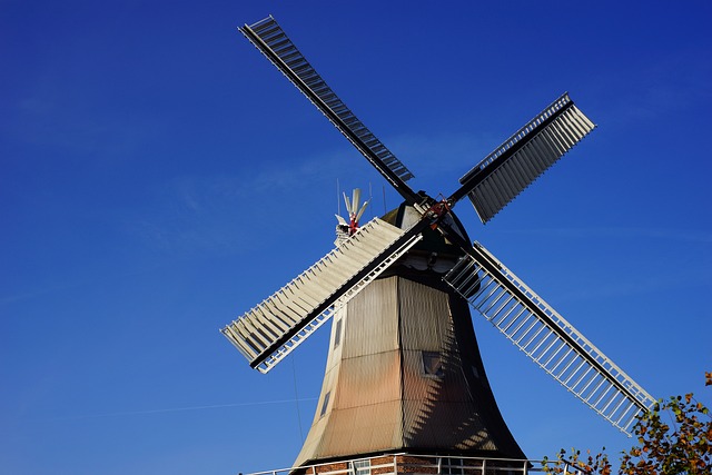 Jak zmielić karob? Jak zmielić karob?