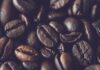Co to znaczy 100% Arabica? Co to znaczy 100% Arabica?