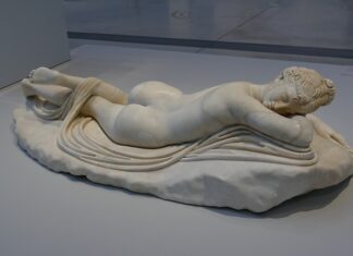 Jak długo żyją fretki?